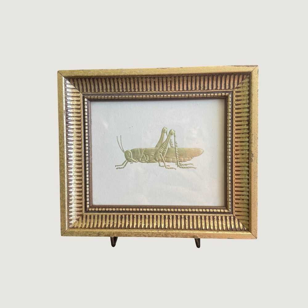 Vintage Gold Grasshopper Cricket Framed Art Insect Illustration